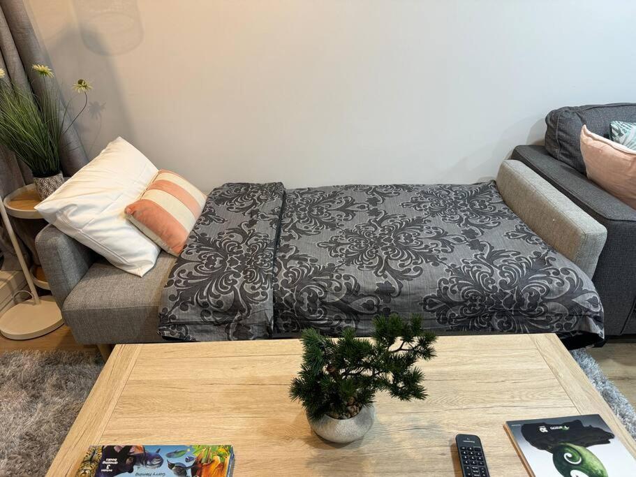 Stunning 3 Bd - 2 Bth City Apt - Pool & Carpark Auckland Buitenkant foto